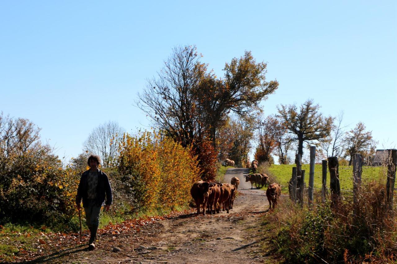 Chambres D'Hotes Du Presbytere La Bastide-l'Eveque Zewnętrze zdjęcie